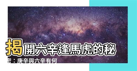 六辛逢馬虎|易經神煞的秘密：天乙貴人